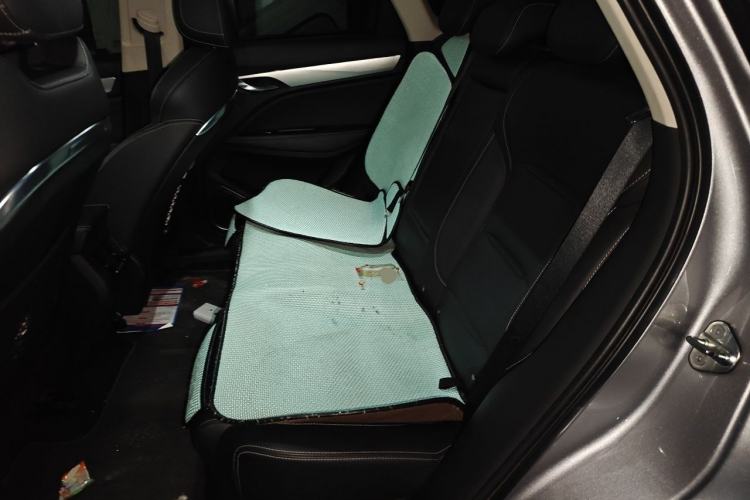 Used Geely Auto Monjaro 2019 300T YAOXINGZHE Left Rear Seat