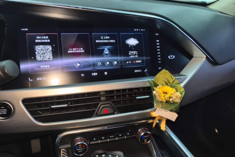 Used Geely Auto Monjaro 2019 300T YAOXINGZHE Audio And AC Panel