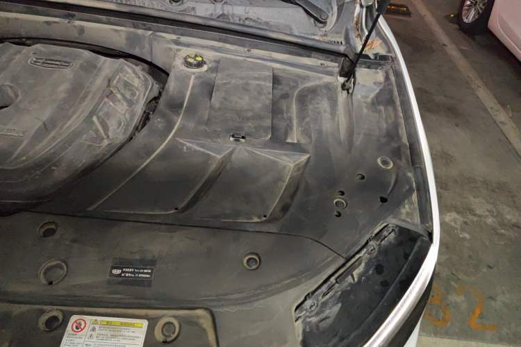 Used Geely Auto Monjaro 2019 350T YAOXINGZHE Engine Bay Left