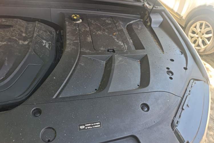 Used Geely Auto Monjaro 2019 350T YAOXINGZHE Engine Bay Left