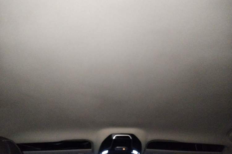 Used Geely Auto Monjaro 2019 300T Explorer Headliner