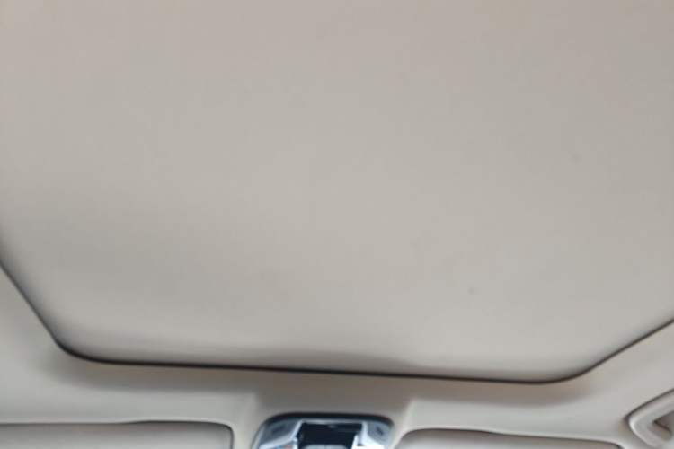 Used Geely Auto Monjaro 2019 300T YAOXINGZHE Headliner
