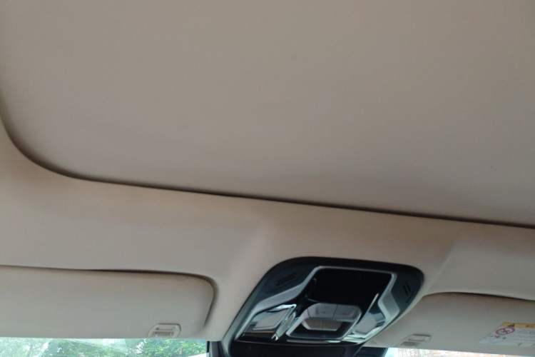 Used Geely Auto Monjaro 2019 300T YAOXINGZHE Headliner