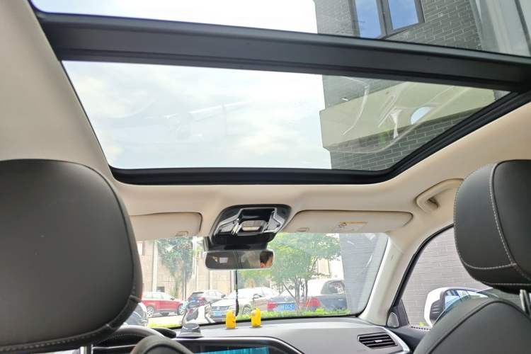 Used Geely Auto Monjaro 2019 350T YAOXINGZHE Headliner