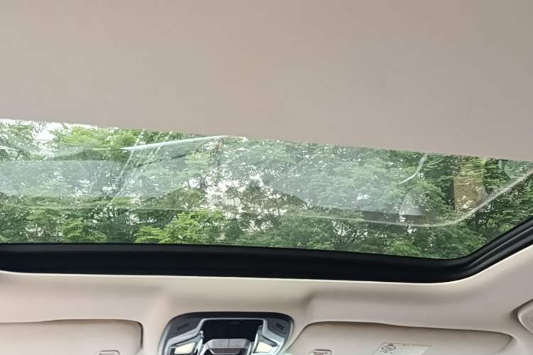 Used Geely Auto Monjaro 2019 300T YAOXINGZHE Headliner