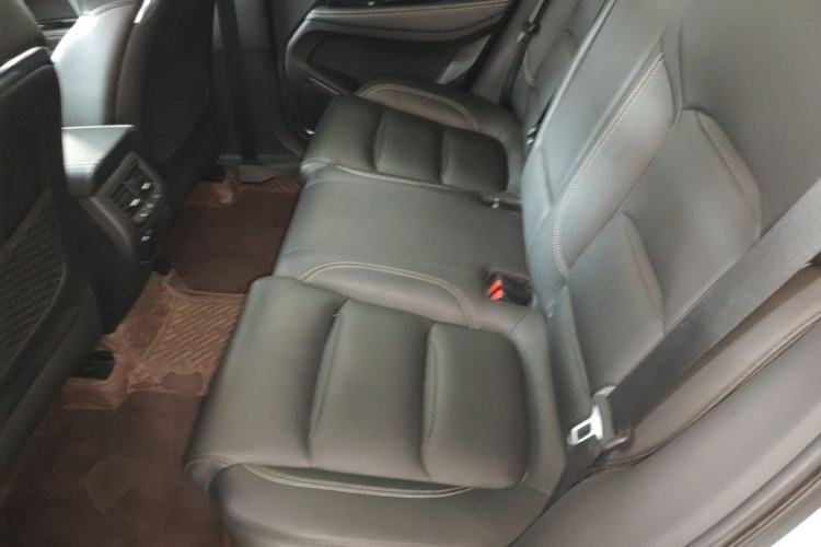 Used Geely Auto Monjaro 2019 350T YAOXINGZHE Left Rear Seat