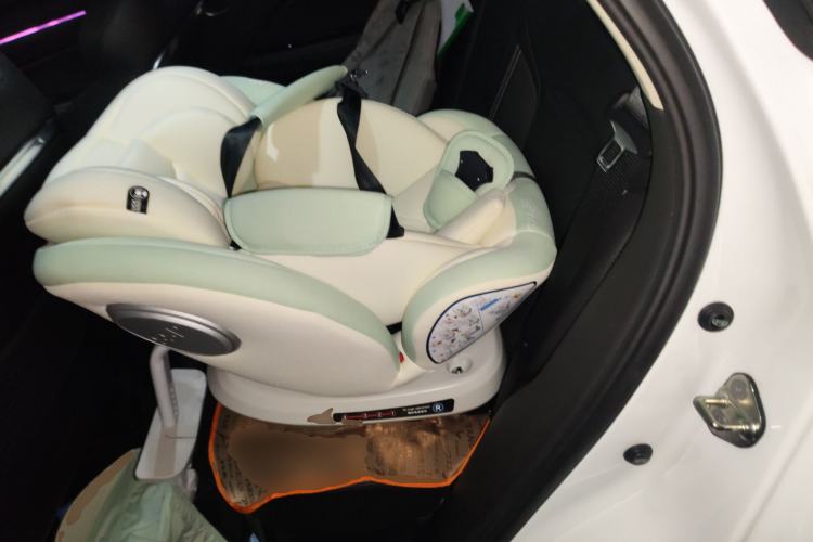 Used Geely Auto Monjaro 2019 350T YAOXINGZHE Left Rear Seat