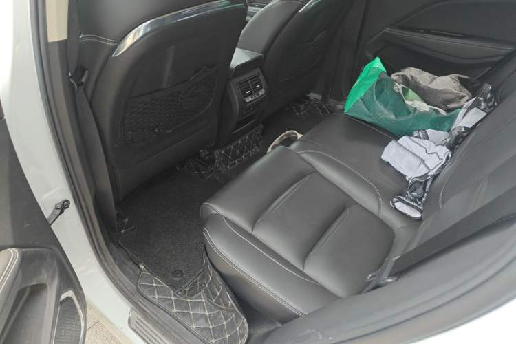 Used Geely Auto Monjaro 2019 300T YAOXINGZHE Left Rear Seat