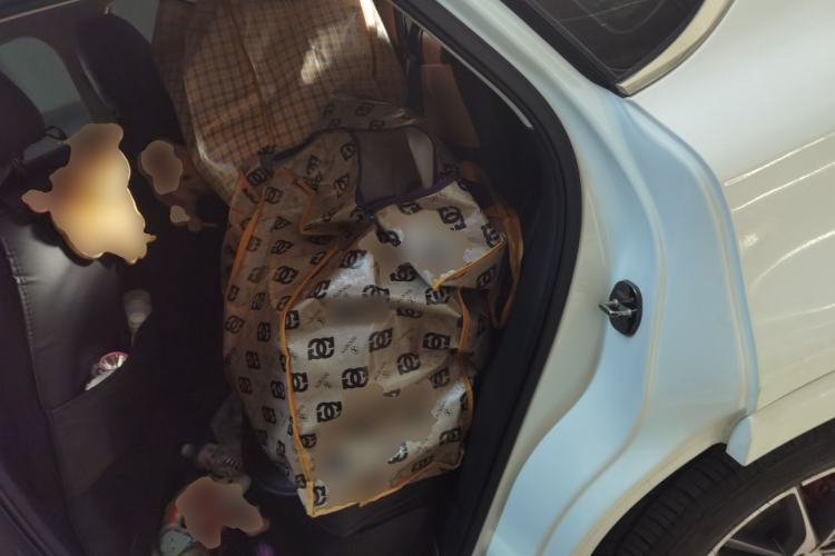 Used Geely Auto Monjaro 2019 350T YAOXINGZHE Left Rear Seat