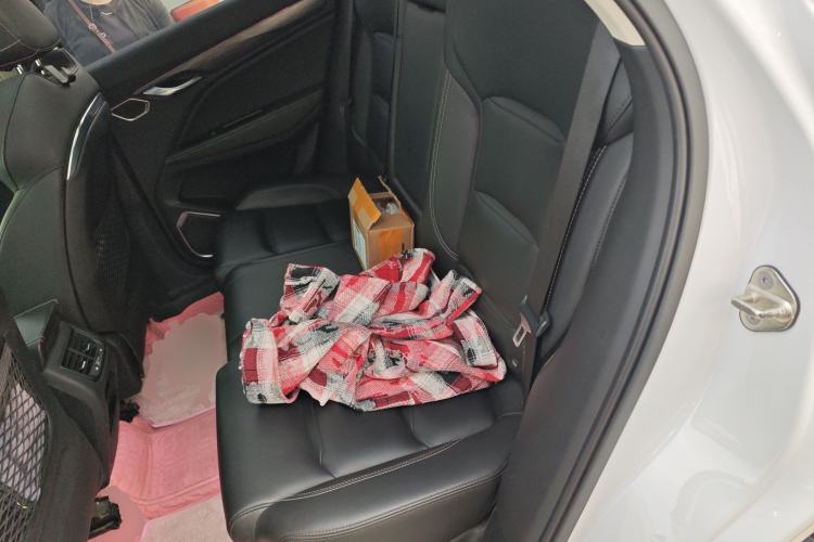 Used Geely Auto Monjaro 2019 350T YAOXINGZHE Left Rear Seat