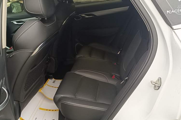 Used Geely Auto Monjaro 2019 300T YAOXINGZHE Left Rear Seat