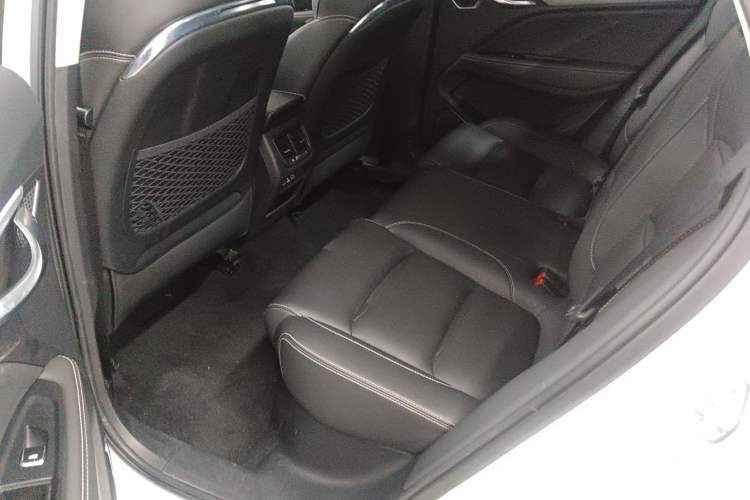 Used Geely Auto Monjaro 2019 300T YAOXINGZHE Left Rear Seat