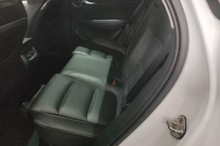 Used Geely Auto Monjaro 2019 300T YAOXINGZHE Left Rear Seat