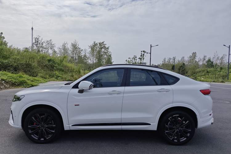 Used Geely Auto Monjaro 2019 350T Yuxingzhe Left Side