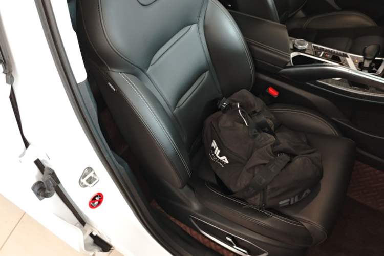 Used Geely Auto Monjaro 2019 350T YAOXINGZHE Right Front Seat