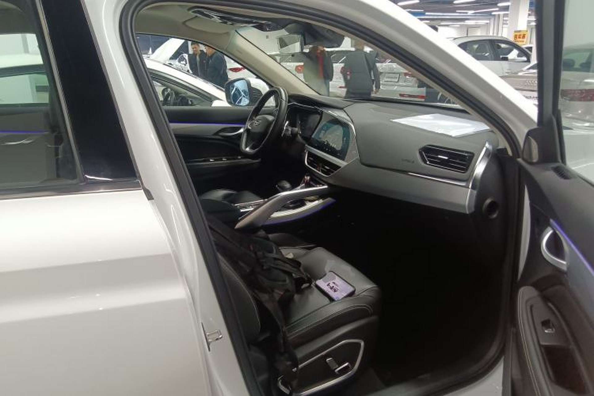 Used Geely Auto Monjaro 2019 300T YAOXINGZHE Right Front Seat