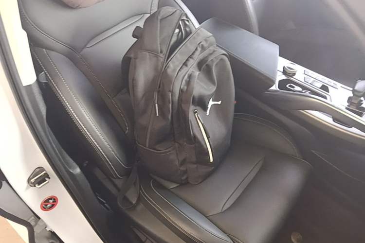 Used Geely Auto Monjaro 2019 300T Explorer Right Front Seat