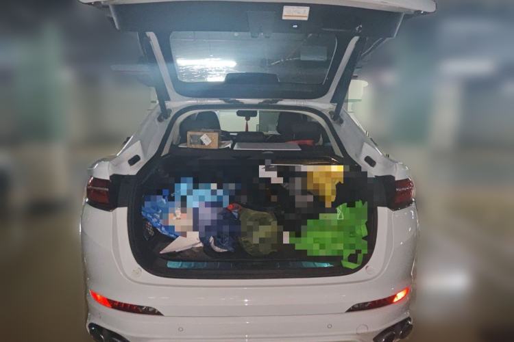 Used Geely Auto Monjaro 2019 350T Yuxingzhe Trunk