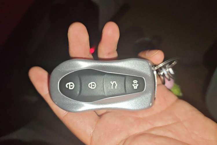 Used Geely Auto Monjaro 2019 350T Yuxingzhe Vehicle Key