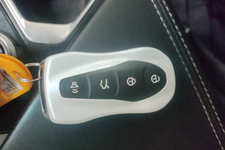 Used Geely Auto Monjaro 2019 300T YAOXINGZHE Interior 1