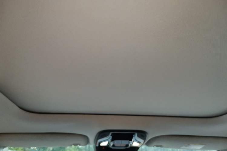 Used Geely Auto Monjaro 2019 350T Yuxingzhe Headliner