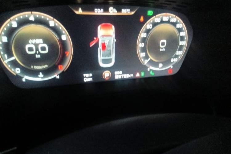 Used Geely Auto Monjaro 2019 350T Yuxingzhe Odometer Close Up