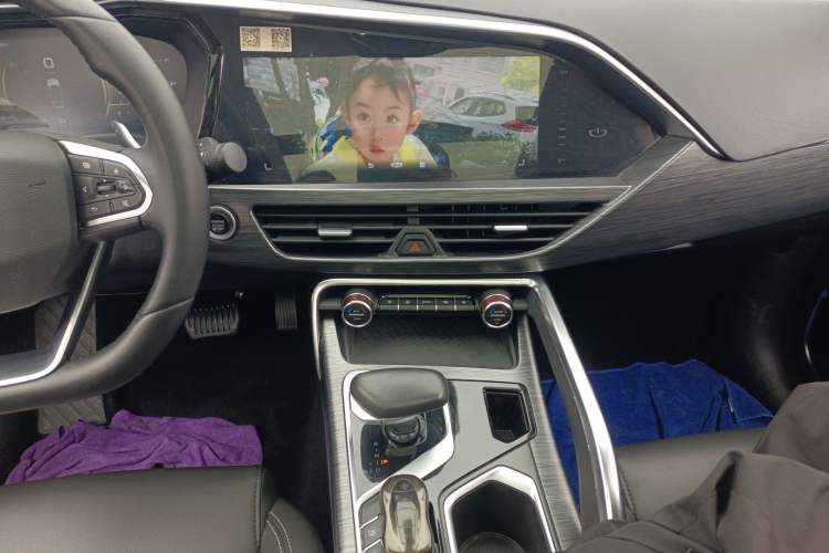 Used Geely Auto Monjaro 2020 High-Energy Edition 350T Yáoxīngzhě Audio And AC Panel