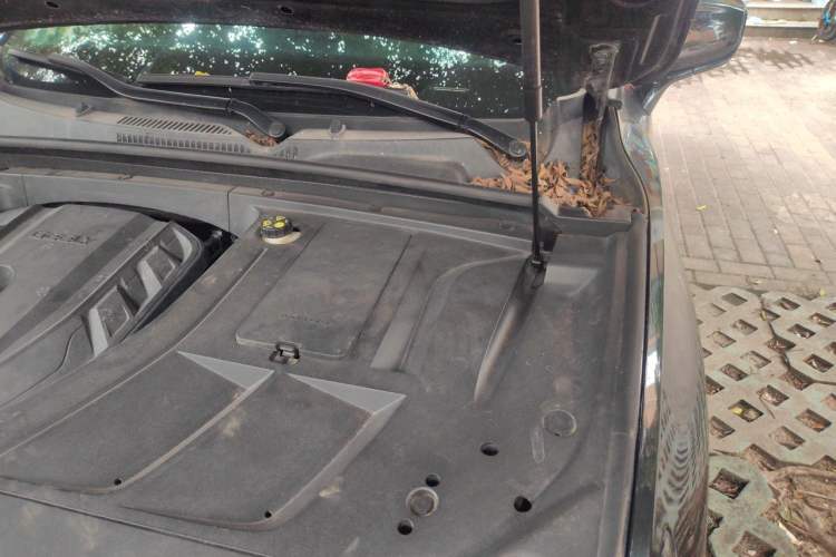 Used Geely Auto Monjaro 2020 High-Energy Edition 350T Yáoxīngzhě Engine Bay Left