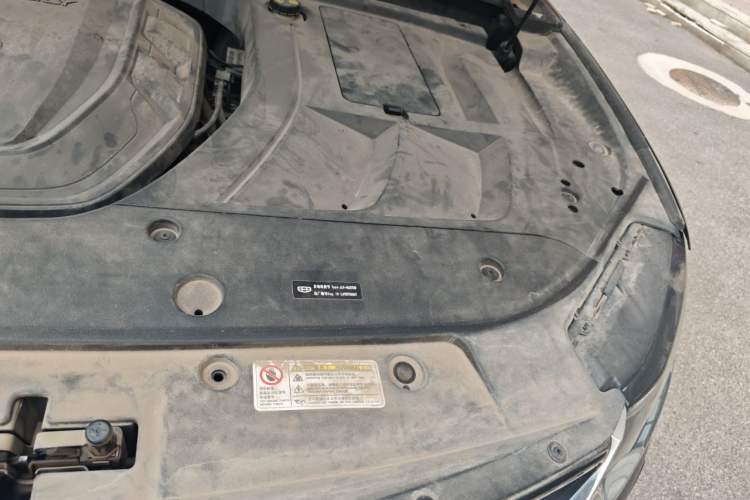 Used Geely Auto Monjaro 2020 350T Yuxingzhe AWD Engine Bay Left