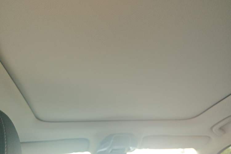 Used Geely Auto Monjaro 2020 High-Energy Edition 350T Yáoxīngzhě Headliner