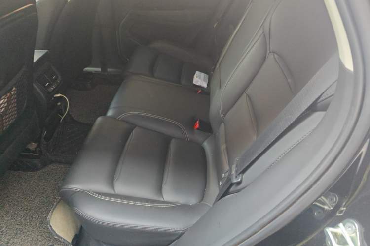 Used Geely Auto Monjaro 2020 High-Energy Edition 350T Yáoxīngzhě Left Rear Seat