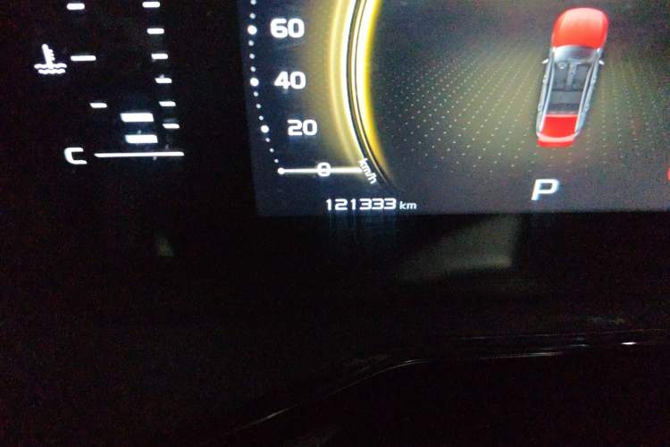 Used Geely Auto Monjaro 2020 High-Energy Edition 350T Yáoxīngzhě Odometer Close Up
