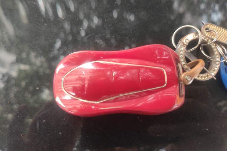 Used Geely Auto Monjaro 2020 High-Energy Edition 350T Yáoxīngzhě Vehicle Key