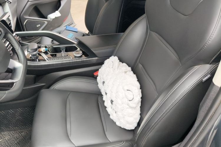 Used Geely Auto Monjaro 2020 High-Energy Edition 350T Yáoxīngzhě Left Front Seat