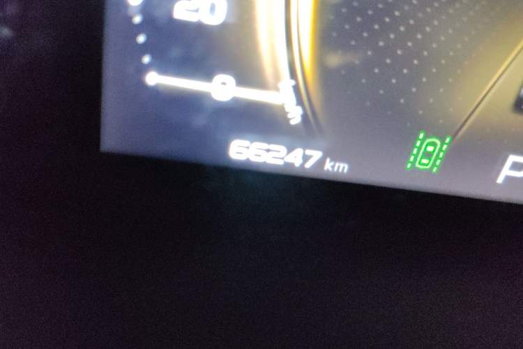 Used Geely Auto Monjaro 2020 High-Energy Edition 300T Yáoxīngzhě Odometer Close Up