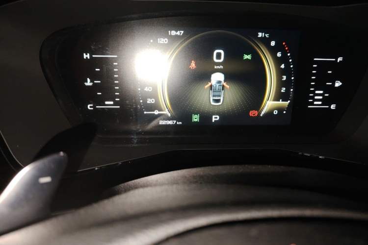 Used Geely Auto Monjaro 2020 High-Energy Edition 350T Yáoxīngzhě Odometer Close Up
