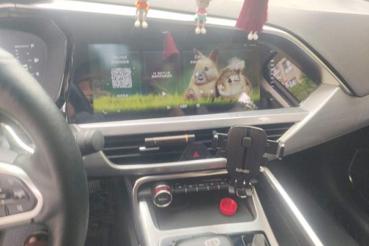 Used Geely Auto Monjaro 2020 High-Energy Edition 300T Yáoxīngzhě Audio And AC Panel