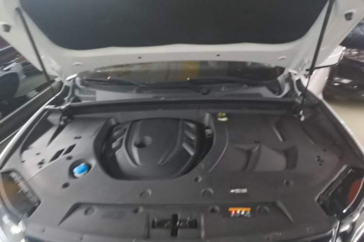 Used Geely Auto Monjaro 2020 High-Energy Edition 350T Yáoxīngzhě Engine Bay