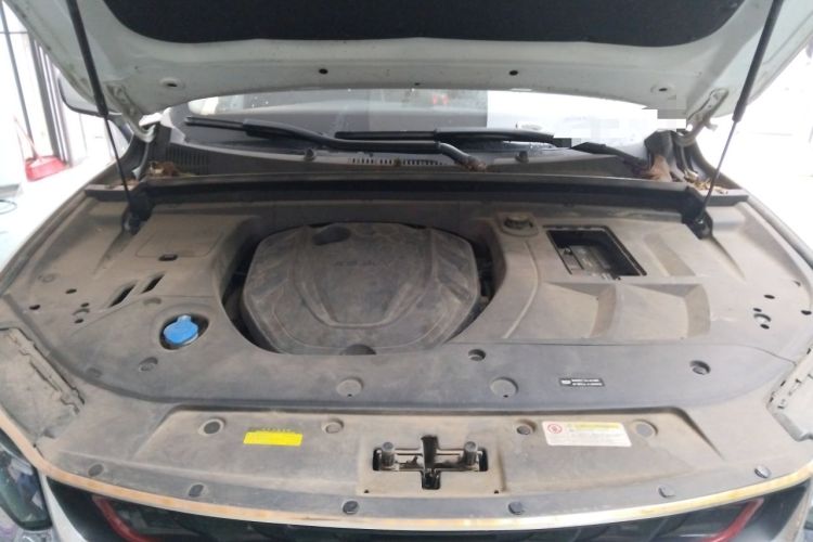 Used Geely Auto Monjaro 2020 High-Energy Edition 300T Yáoxīngzhě Engine Bay
