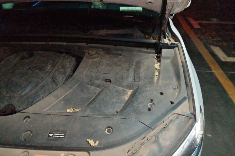 Used Geely Auto Monjaro 2020 High-Energy Edition 300T Yáoxīngzhě Engine Bay Left