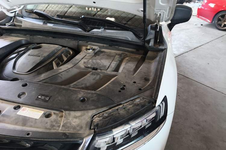Used Geely Auto Monjaro 2020 High-Energy Edition 300T Yáoxīngzhě Engine Bay Left
