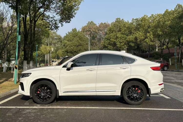 Used Geely Auto Monjaro 2020 High-Energy Edition 350T Yáoxīngzhě Exterior 2