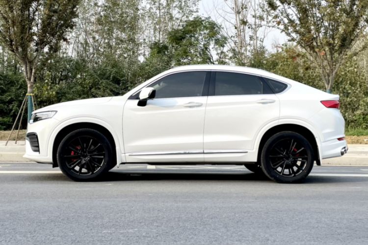 Used Geely Auto Monjaro 2020 High-Energy Edition 350T Yáoxīngzhě Exterior 2