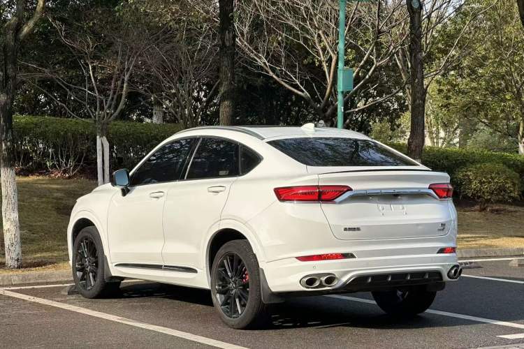 Used Geely Auto Monjaro 2020 High-Energy Edition 350T Yáoxīngzhě Exterior 3