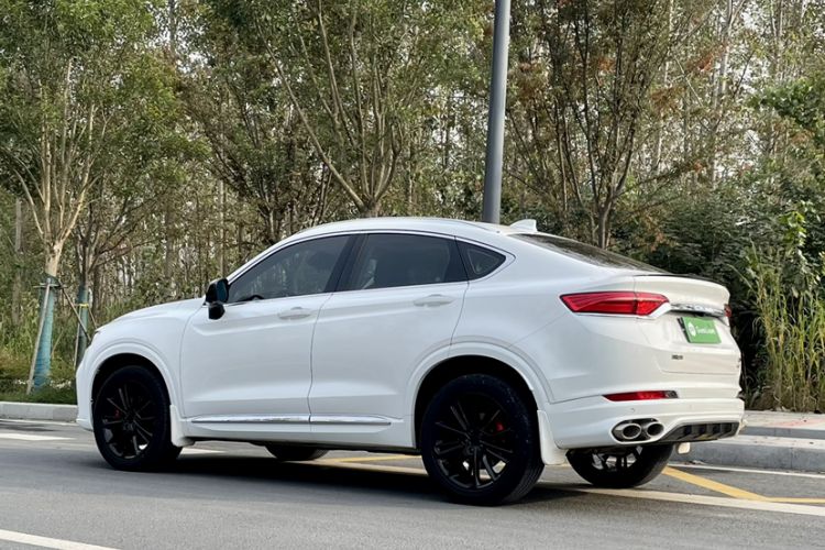 Used Geely Auto Monjaro 2020 High-Energy Edition 350T Yáoxīngzhě Exterior 6