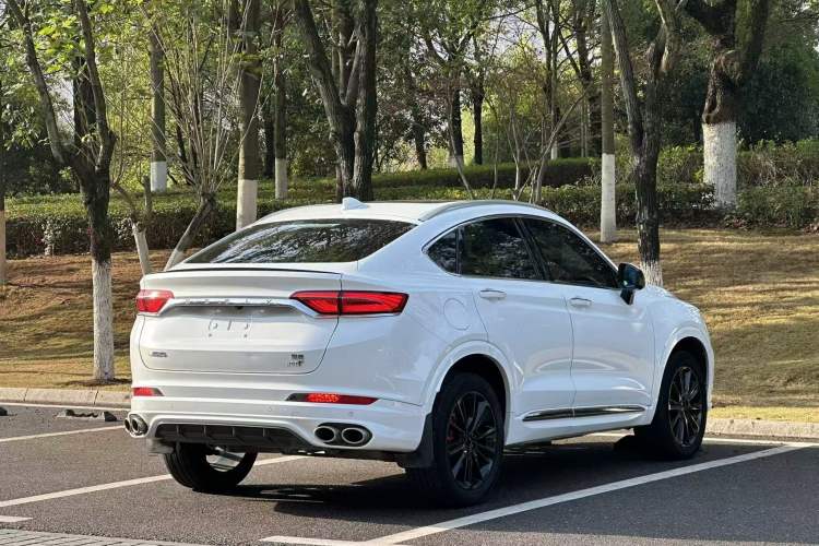 Used Geely Auto Monjaro 2020 High-Energy Edition 350T Yáoxīngzhě Exterior 7
