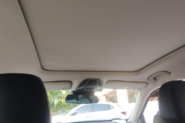 Used Geely Auto Monjaro 2020 High-Energy Edition 350T Yáoxīngzhě Headliner