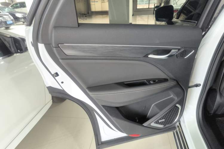 Used Geely Auto Monjaro 2020 High-Energy Edition 350T Yáoxīngzhě Left Rear Door Interior