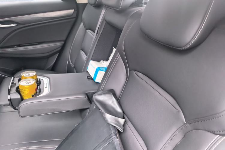 Used Geely Auto Monjaro 2020 High-Energy Edition 350T Yáoxīngzhě Left Rear Seat