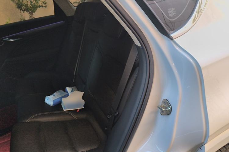 Used Geely Auto Monjaro 2020 High-Energy Edition 350T Yáoxīngzhě Left Rear Seat